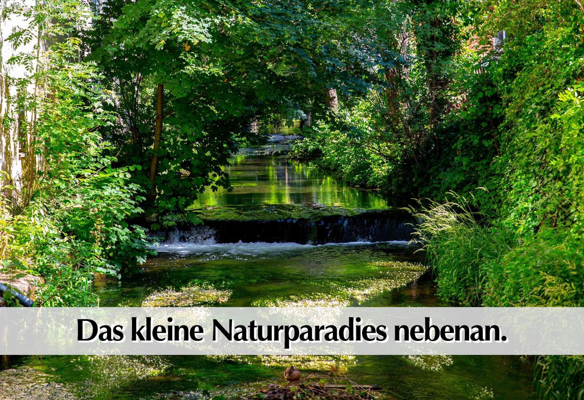 Stadtperle Am Plaetschernden Wasser - 50M2 2R Malerische Fewo In Top Lage Erfurt Luaran gambar
